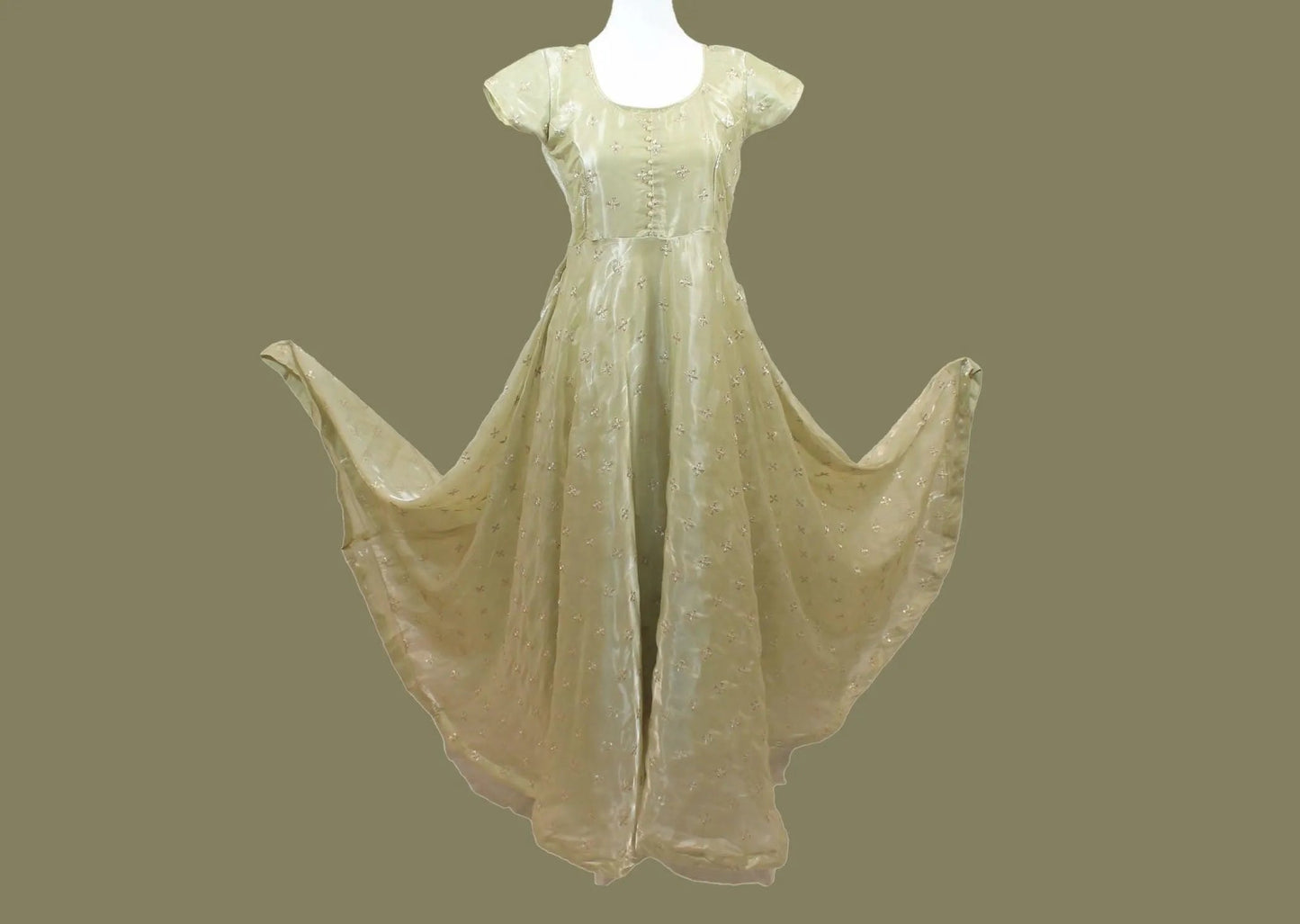 Pastel Green Anarkali | Organza Gold Trim | Anarkali Dress Bridal | Anarkali Suit | Anarkali Dress | Indian Anarkalis | Indian Ethnic Wear