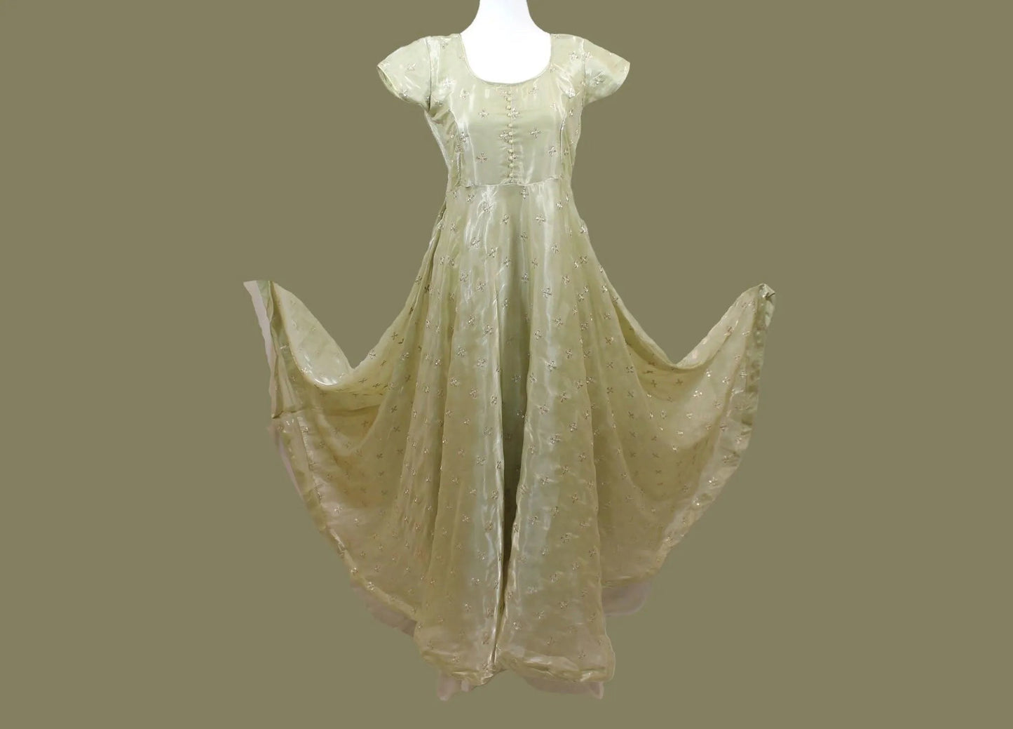 Pastel Green Anarkali | Organza Gold Trim | Anarkali Dress Bridal | Anarkali Suit | Anarkali Dress | Indian Anarkalis | Indian Ethnic Wear