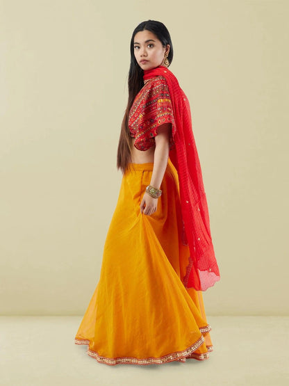 Yellow Chiffon Lehenga with Red Printed Crop Top | Lehenga Dress |  Lehengas For Wedding | Indian Ethnic Wear | Indian Attire For Women